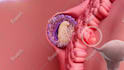 do 3d medical animation