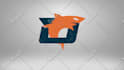 create 3d logo animation or intro animation