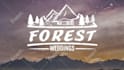 design vintage logo and animation