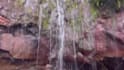 professionally edit your nature or animal videos