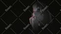 create hand drawn rotoscope animation for music videos or social media