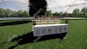 render outdoor wedding decoration