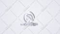 create best premium 3d logo animation or youtube intro video
