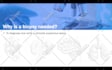 design your whole presentation in less than 24 hours