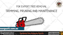 create tree removal video or veteran tree management video