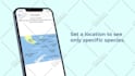 create a product launch promo video for your mobile app
