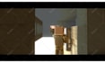 create a custom professional minecraft animation