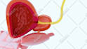 create high end 3d medical animation