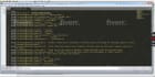 design and develop custom website