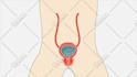 draw and animate vector illustrations for facebook ads