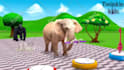 do 3d animation 2d cartoon animation with voiceover