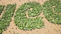 do cinematic eco friendly nature 3d rendering animation intro video from logo