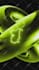 professionally create your spotify canvas