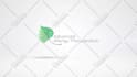 make 100 clean and simple premium logo animation intros