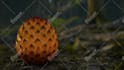 do any 3d product animation