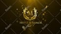 create luxury golden and silver intro logo animation