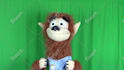 have scotty the wolf create a custom puppet video
