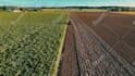 edit your drone video