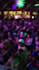 design night party dj event promotion video