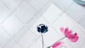 create cute DIY craft tutorials