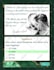 create amazing interactive invitations for all occasions