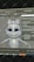 rig 3d character in maya, blender for animation, unity games