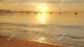 create exclusive meditation videos with binaural beats and solfeggio frequencies
