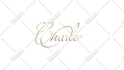 your signature in a stylish handwriting intro or outro