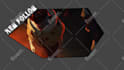design custom animated overlay , panels  and logo for streamer