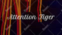 do logo animation, intro and outro animation
