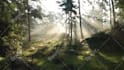 compose custom emotive ambient, meditation or worship music