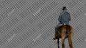 do professional rotoscoping, green screen removal for any video