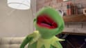 have kermit the frog record a video message or audio message
