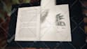 create a 3d animated book with your text and pictures