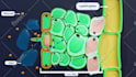 create custom 3d explainer videos