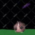 create animated twitch emote or animation emoji for your kick, twitch channel