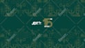 create professional 2d animation and motion graphics