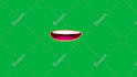 make mouth lip sync 2d animation for your 2d character