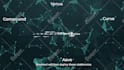create a custom motion graphic video for you