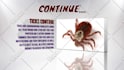 create pest control 2d animated promo video