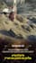 make 3d motion graphics animation for trailers or nfts