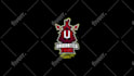 custom animated twitch logo, kick stream overlay panels screens banners facecam
