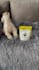 have my dog model your pet products