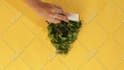 create a professional stop motion video