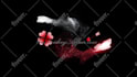 create custom butterfly animations tailored for your brand
