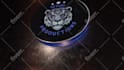make a stunning 3d logo animation intro for your brand