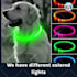 create amazing ads for dog products