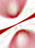 design eye catching posters ads banners motion flyers