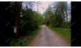 do video color grade color correction and edit videos