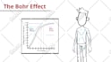 do an amazing whiteboard animation explainer video